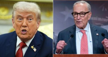 Trump, Democrats set for last-ditch talks to avoid shutdown