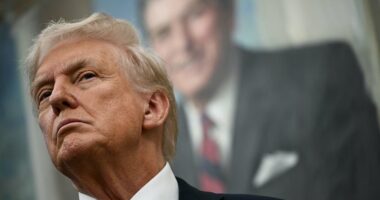 Trump announces major overhaul of drug prices with pharma giant Pfizer