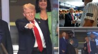 Trump cheered on at Yankee Stadium by fans — accurately predicts victory: 'You're gonna win'