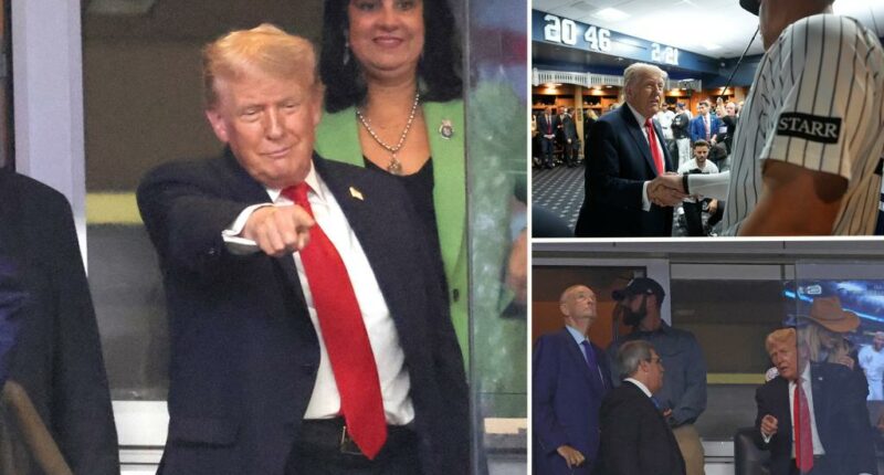 Trump cheered on at Yankee Stadium by fans — accurately predicts victory: 'You're gonna win'