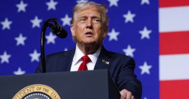 Trump gives Hamas 'three to four days' to accept plan or meet a 'a very sad end'