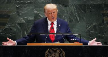 Trump mocks NATO allies for 'funding the war against themselves' with Russian energy purchases