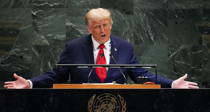 Trump mocks NATO allies for 'funding the war against themselves' with Russian energy purchases