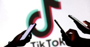 Trump to sign TikTok deal Thursday ceding majority control to US: source