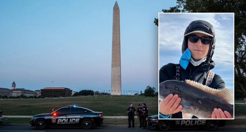Two teens arrested in murder of Capitol Hill intern, third sought: DOJ, DC police