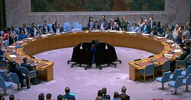 UN Security Council rejects China-Russia resolution extending Iran nuclear sanctions relief before deadline