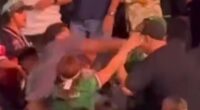 Violent brawl breaks out between fans at Canelo-Crawford weigh-in
