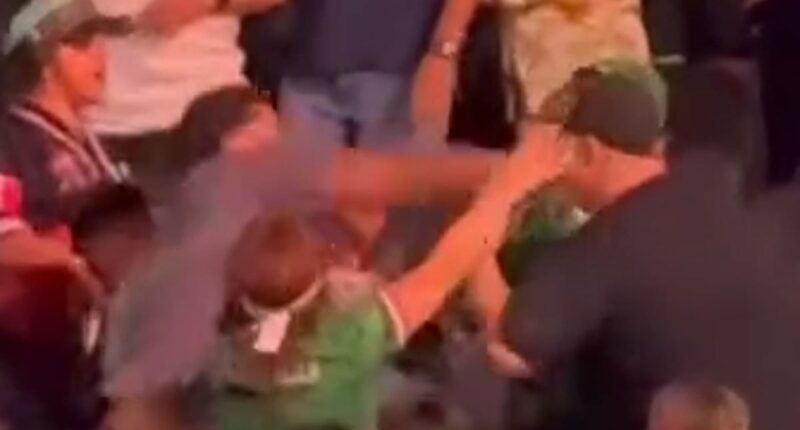 Violent brawl breaks out between fans at Canelo-Crawford weigh-in