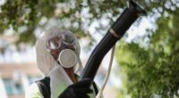 Virus prompting Covid-era restrictions in China now circulating in US