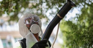 Virus prompting Covid-era restrictions in China now circulating in US