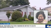'A bunch of knives sticking out of her': Son slaughters mom in home they shared across from elementary school, cops and neighbors say