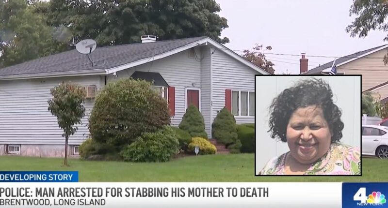 'A bunch of knives sticking out of her': Son slaughters mom in home they shared across from elementary school, cops and neighbors say