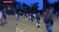 'A lot of kids crying': Families caught up in wild park brawl