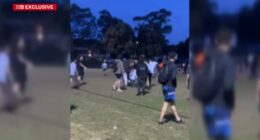 'A lot of kids crying': Families caught up in wild park brawl