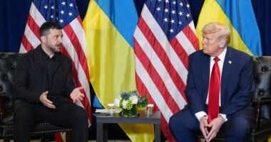 'A real bear': Kremlin fires back at Trump as world tensions hit new high
