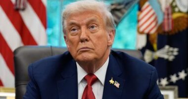 'Dumb people': Trump blames 'radical left' for recent political violence