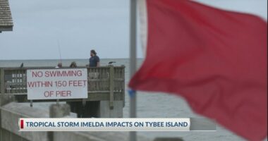 'Incredibly fragile': Tybee officials talk defense against strong storms