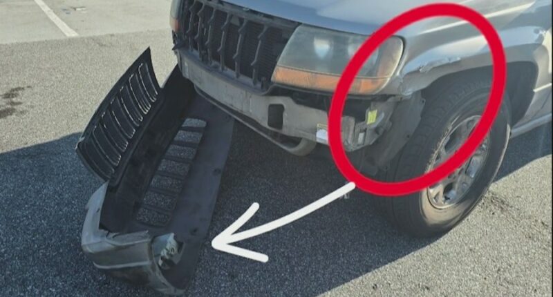 'Next time, it might be somebody's life': Driver of car hit in GSP-involved crash speaks out