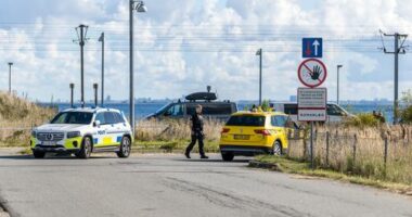 'Professional actor': Drones at four airports 'meant to sow fear'