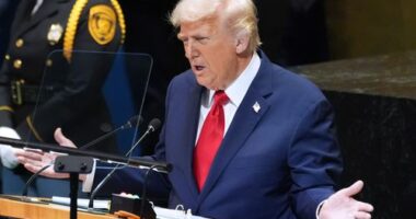 'Rewards would be too great': Trump hits out at recognition of Palestine