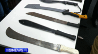 'Toughest in the country': South Australia unveils new knife laws