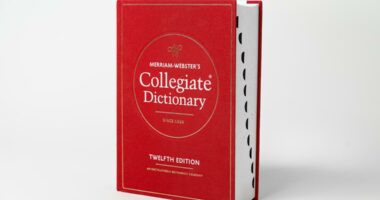 10 words from the Merriam-Webster dictionary update