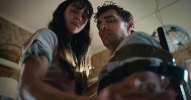 12 Best Body Horror Movies Like Together