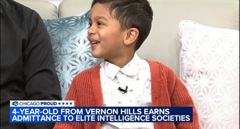 4-year-old Vernon Hills boy accepted into Mensa, Intertel