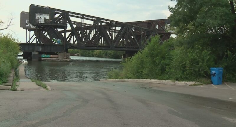 97 cars found in Chicago River amid renewed search for missing couple