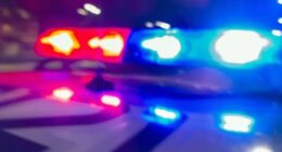Alabama man charged in hit-and-run in Tuscaloosa
