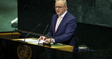 Albanese, Trump meeting confirmed for White House