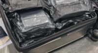 A 31-year-old American woman allegedly had $6.5 million worth of cocaine packed in her suitcase when she landed at Sydney Aiport yesterday.