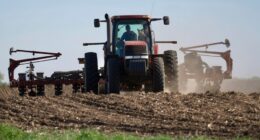 American farmers say Trump's trade agenda is killing sales