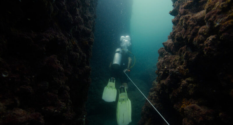 Ancient underwater port may hold clue to finding Cleopatra's elusive, lost tomb