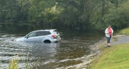 Anti-ICE protester's car sinks as she confronts agents arresting man