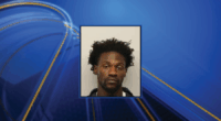 Arrest made in August dog fighting bust, homes needed for rescued dogs