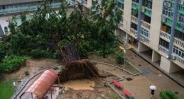 At least 17 dead in Taiwan as 'super typhoon' hits China