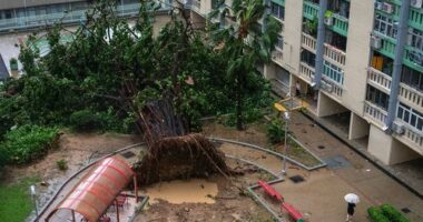 At least 17 dead in Taiwan as 'super typhoon' hits China