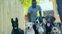 Austin dog handler detained by ICE during routine check-in