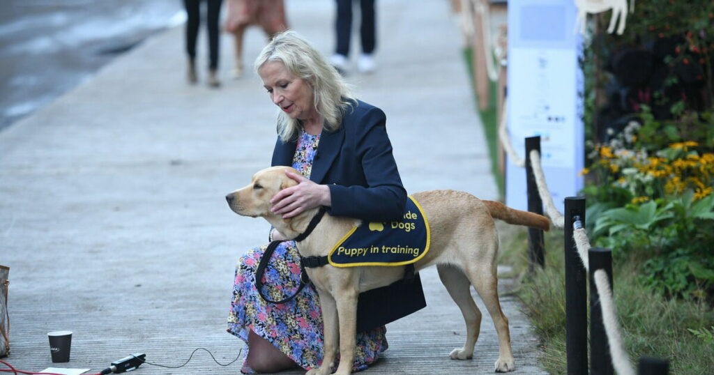 BBC Breakfast's Carol Kirkwood admits 'it's sad' as she opens up on divorce heartache