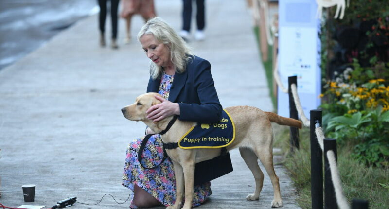 BBC Breakfast's Carol Kirkwood admits 'it's sad' as she opens up on divorce heartache
