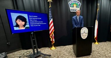 Austin police official stands at podium next to TV screen showing arrested suspect's mugshot