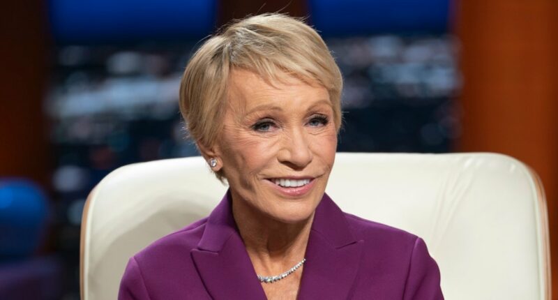 Barbara Corcoran Admits She 'Loves Facelifts' in Plastic Surgery Confession