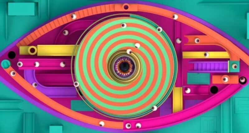 Big Brother star rushed to hospital and 'hooked to IV drip' in alarming snap