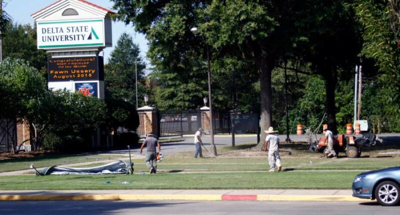 Black student found hanging from tree, police say there's no sign of foul play