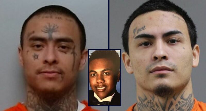 Brothers killed man so they could gain 'street cred': Cops