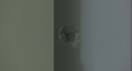Bullets hit nearby homes in short term vacation rental shooting