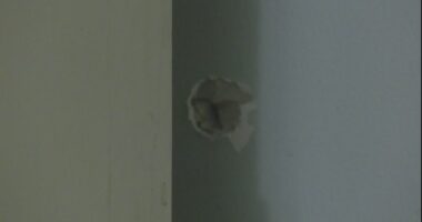 Bullets hit nearby homes in short term vacation rental shooting