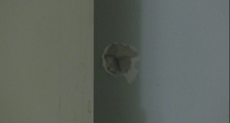 Bullets hit nearby homes in short term vacation rental shooting