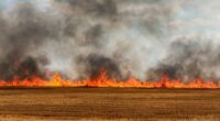 Burn bans issued in Central Illinois amid dry conditions